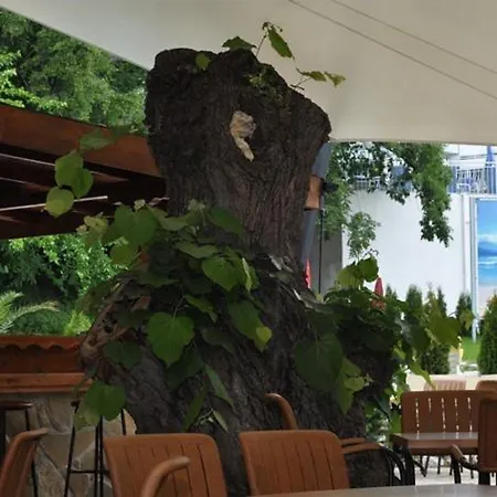 Ξενοδοχείο Bsa Gradina & Aquapark Golden Sands